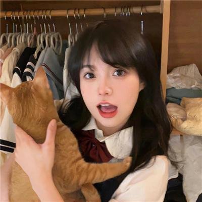 万紫千红花弄蝶